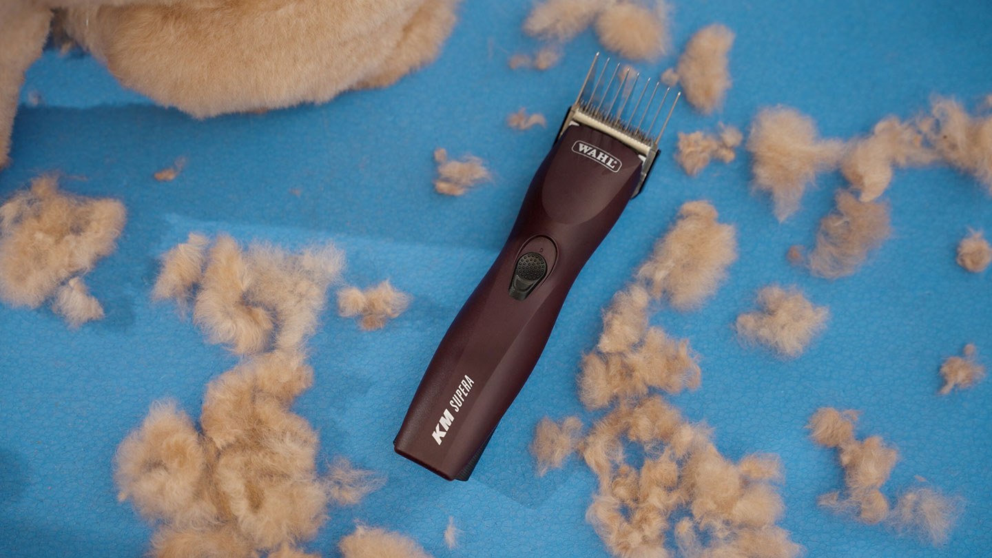 SOURCE Wahl Professional