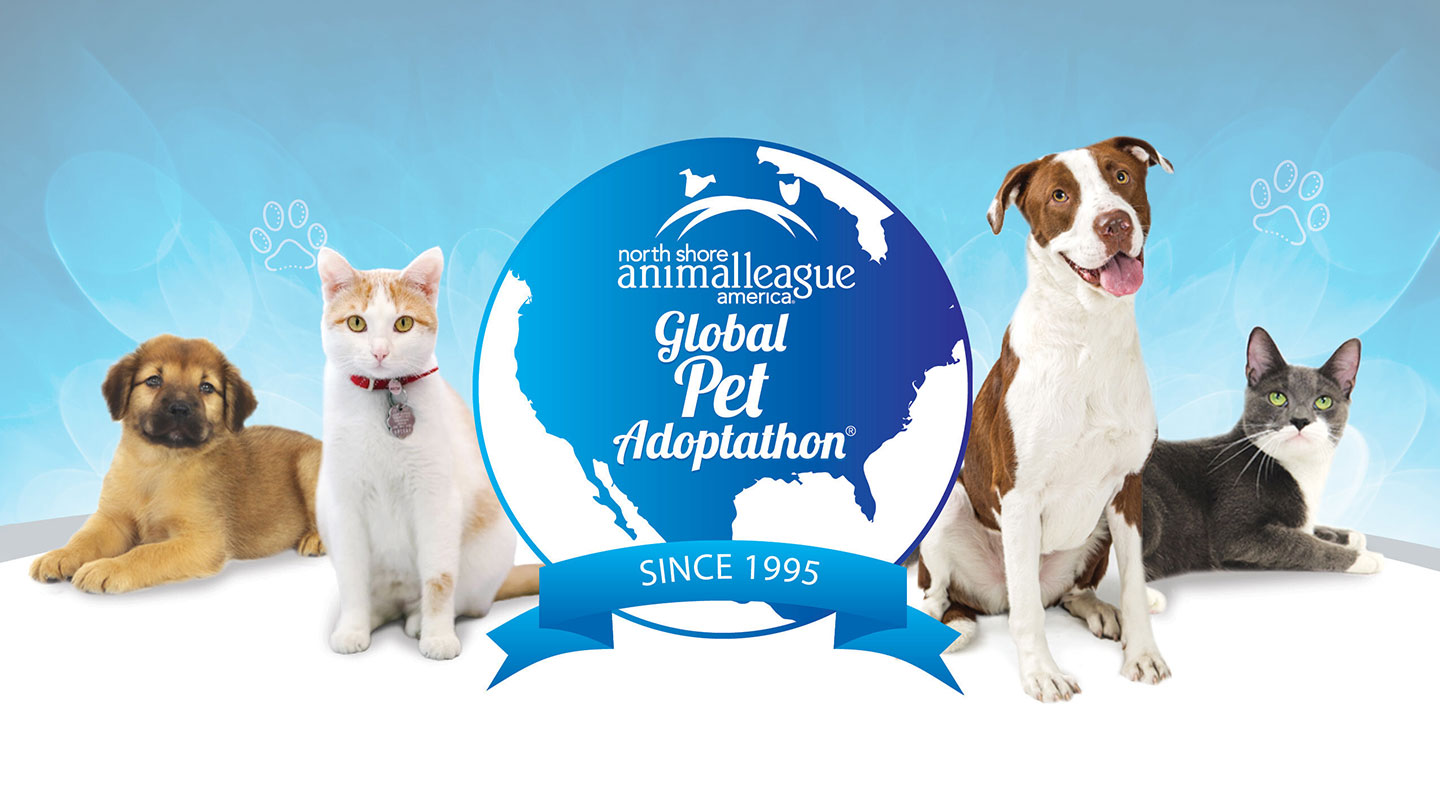 SOURCE North Shore Animal League America