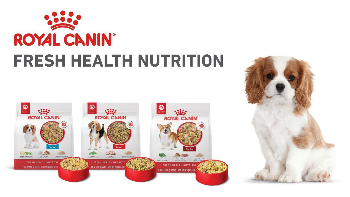 SOURCE Royal Canin