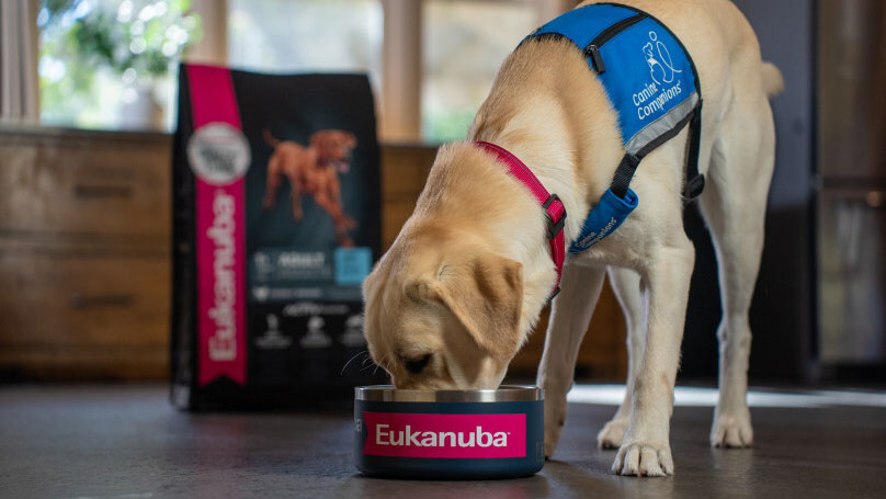 SOURCE Eukanuba